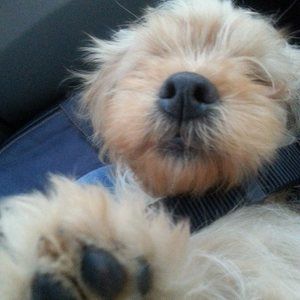 Meet your Posher, Vicky